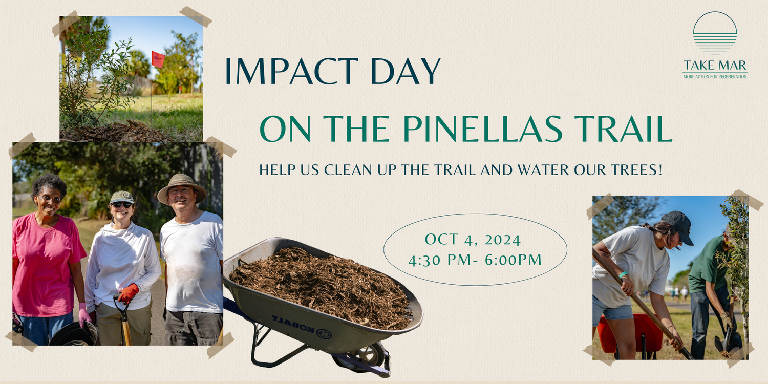 Impact Day on the Pinellas Trail  🗓️ October  4 thumbnail