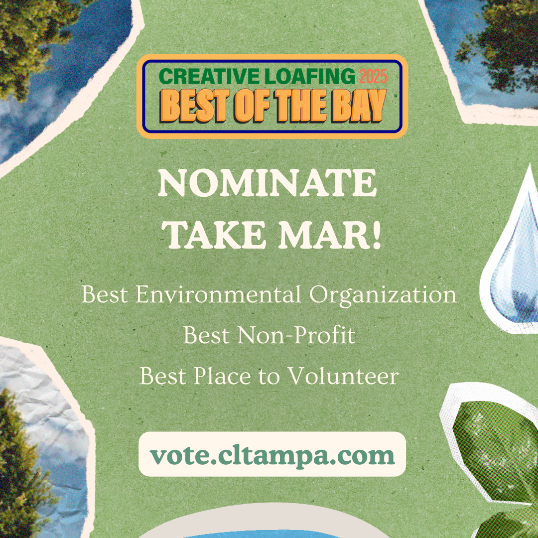 Best of the Bay Nominations thumbnail