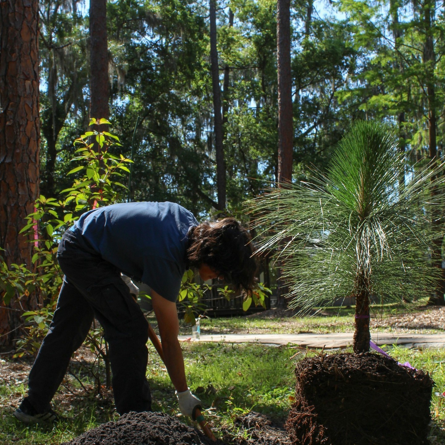 🌳 Join us in making a difference in nature! 🌱 As a group, business, or organization, we believe you have the power to pl