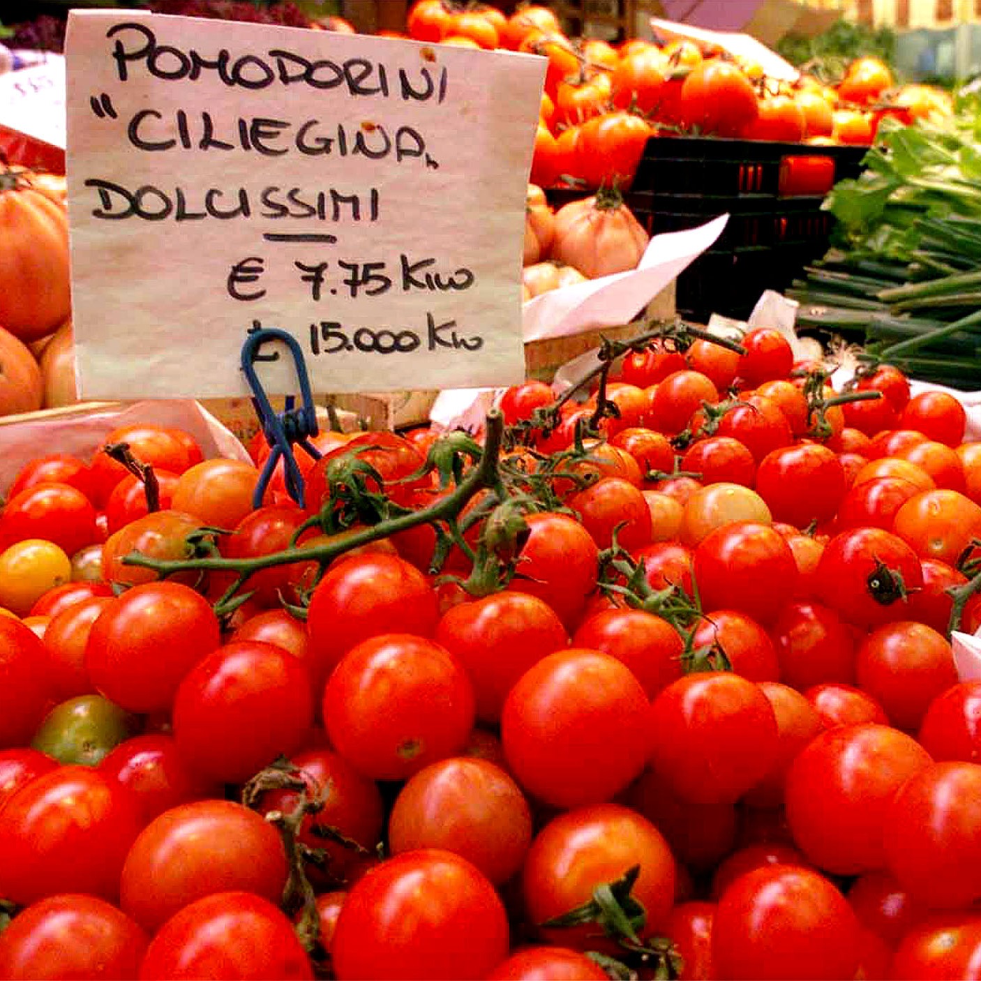 L'epidemia di salmonella dai pomodorini in Ue, e oltre 100 casi in Italia. Cosa succede e come difendersi thumbnail