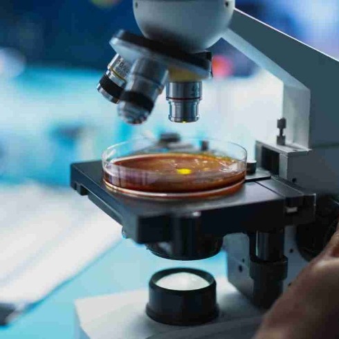 Tumore gastrico, dall’Italia la chiave per combatterlo con farmaci già in uso thumbnail