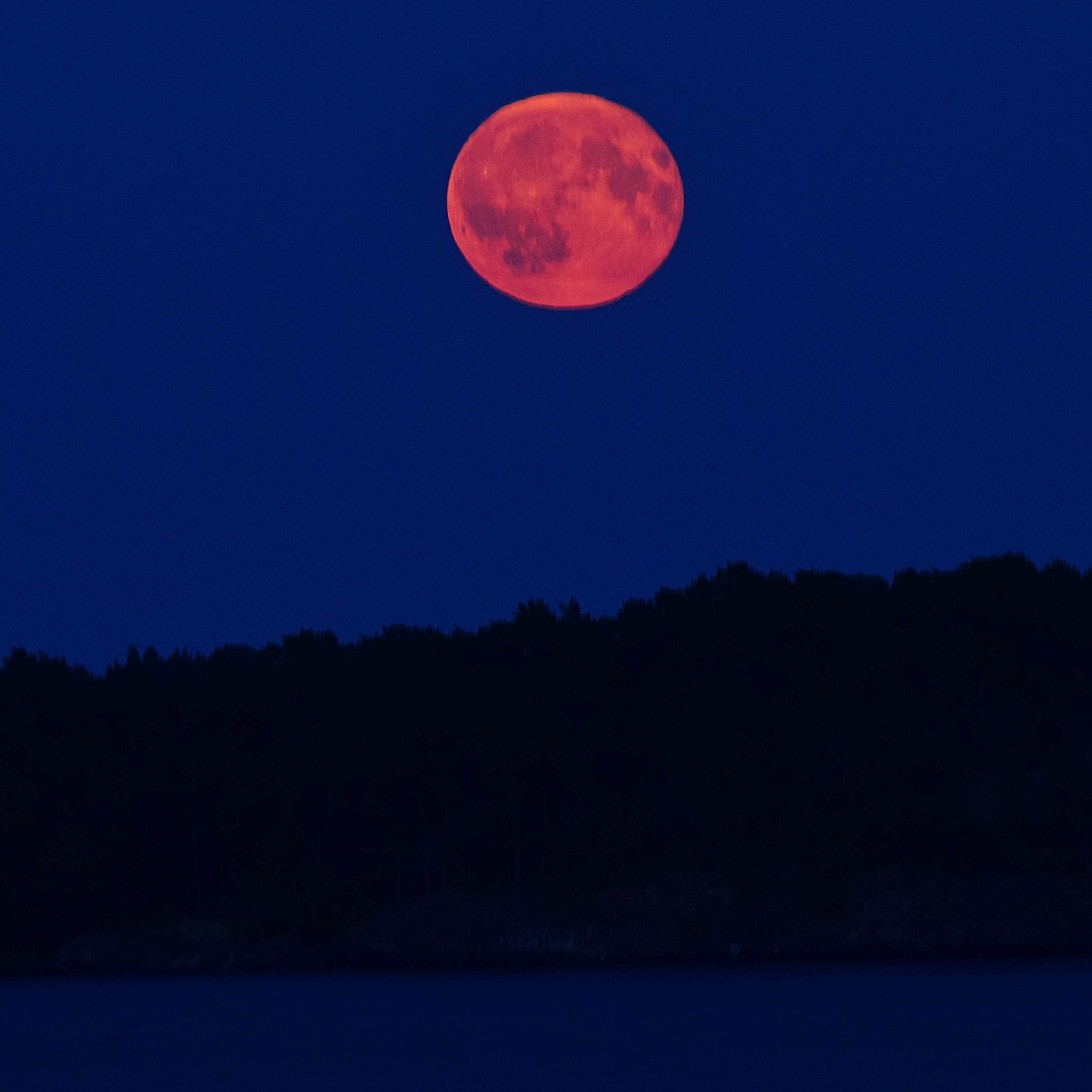 Naso all’insù: questa notte arriva la Luna Rosa. A che ora vederla e qual è il suo significato simbolico e religioso thumbnail