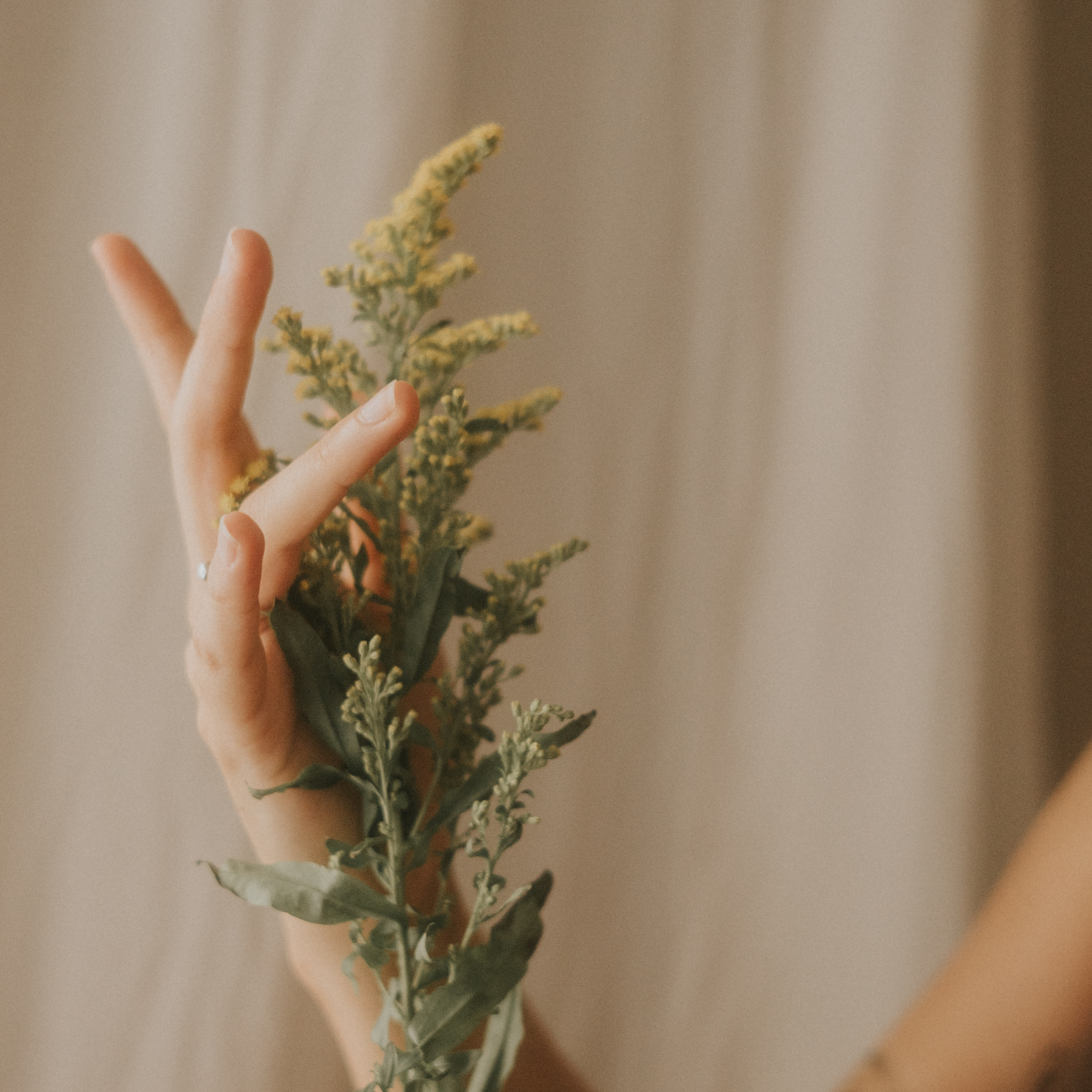 ADQUIERE MIS FILTROS DE EDICIÓN  thumbnail