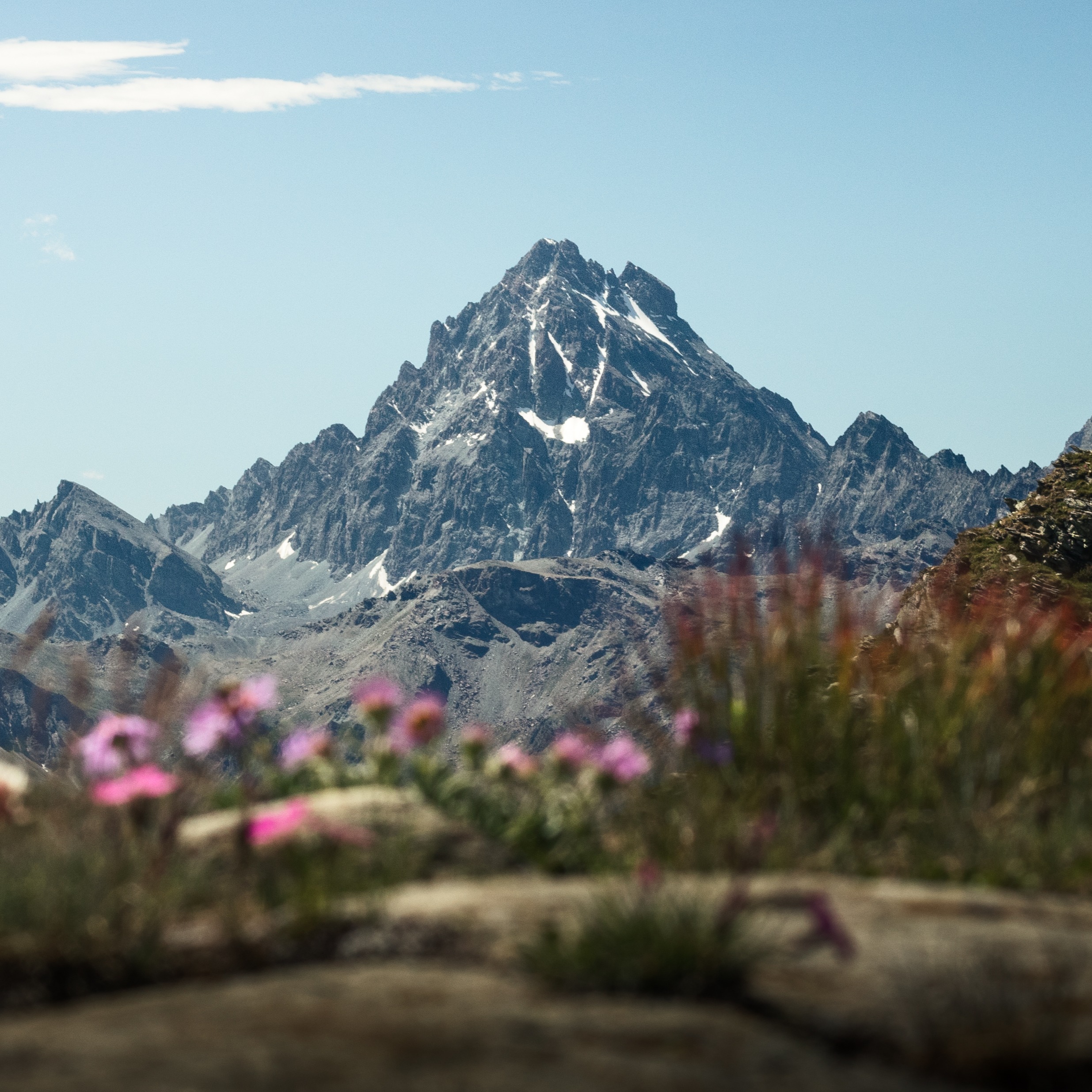 OFFICIAL WEBSITE thumbnail