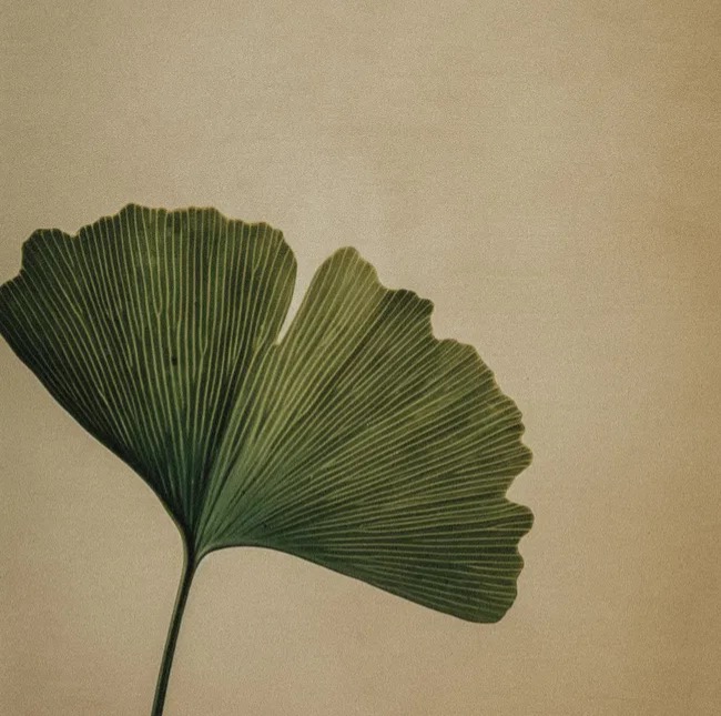 Amazon Favorites ✨ thumbnail