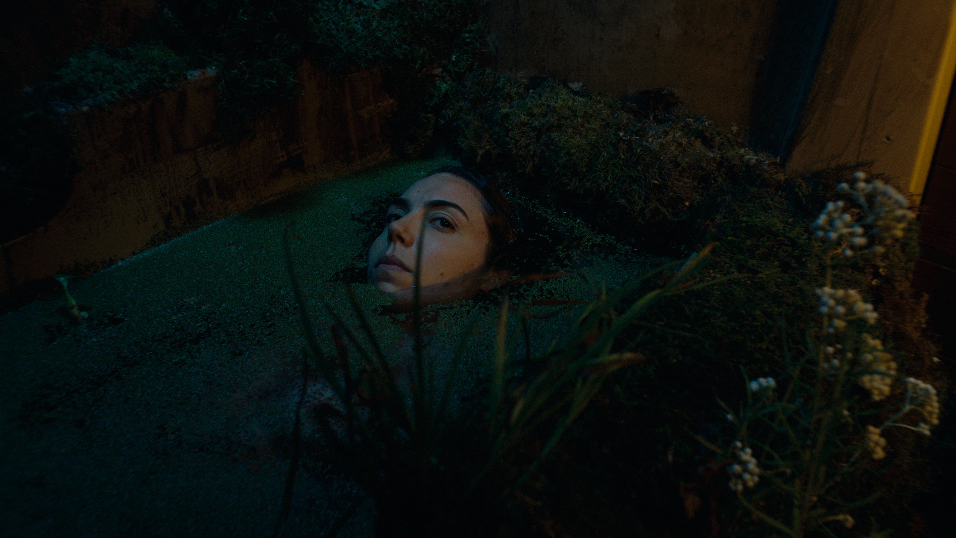 I THINK I'D LIKE TO STAY (dir. Brianna Murphy - pw upon request) thumbnail