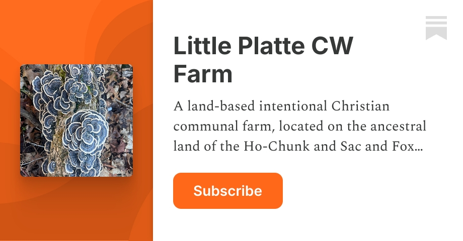 Little Platte CW Farm | Substack thumbnail