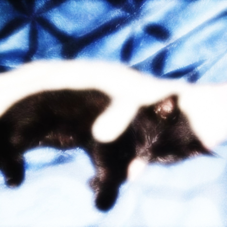    ⠀⠀       ⠀⠀⠀⠀MIGATO thumbnail