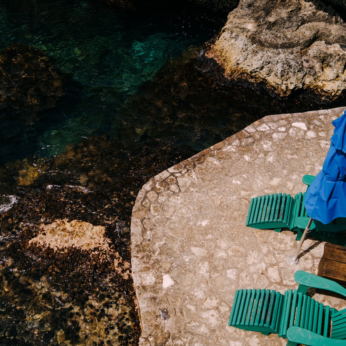 Website & Portfolio thumbnail