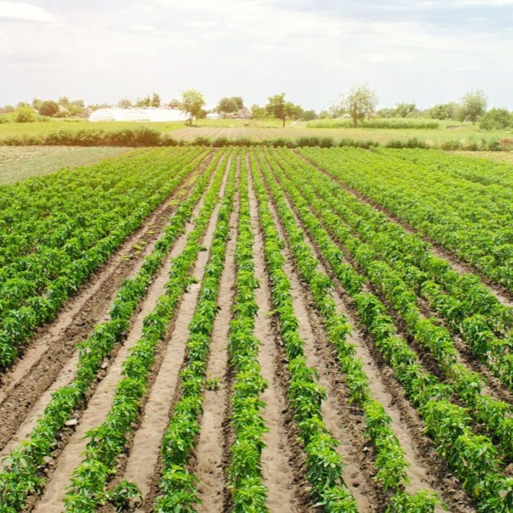 Search Land and Farm thumbnail