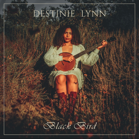 Listen to the ‘Black Bird’ album thumbnail