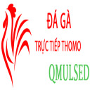 @dagavinlyset · ĐÁ GÀ TRỰC TIẾP LYSET thumbnail
