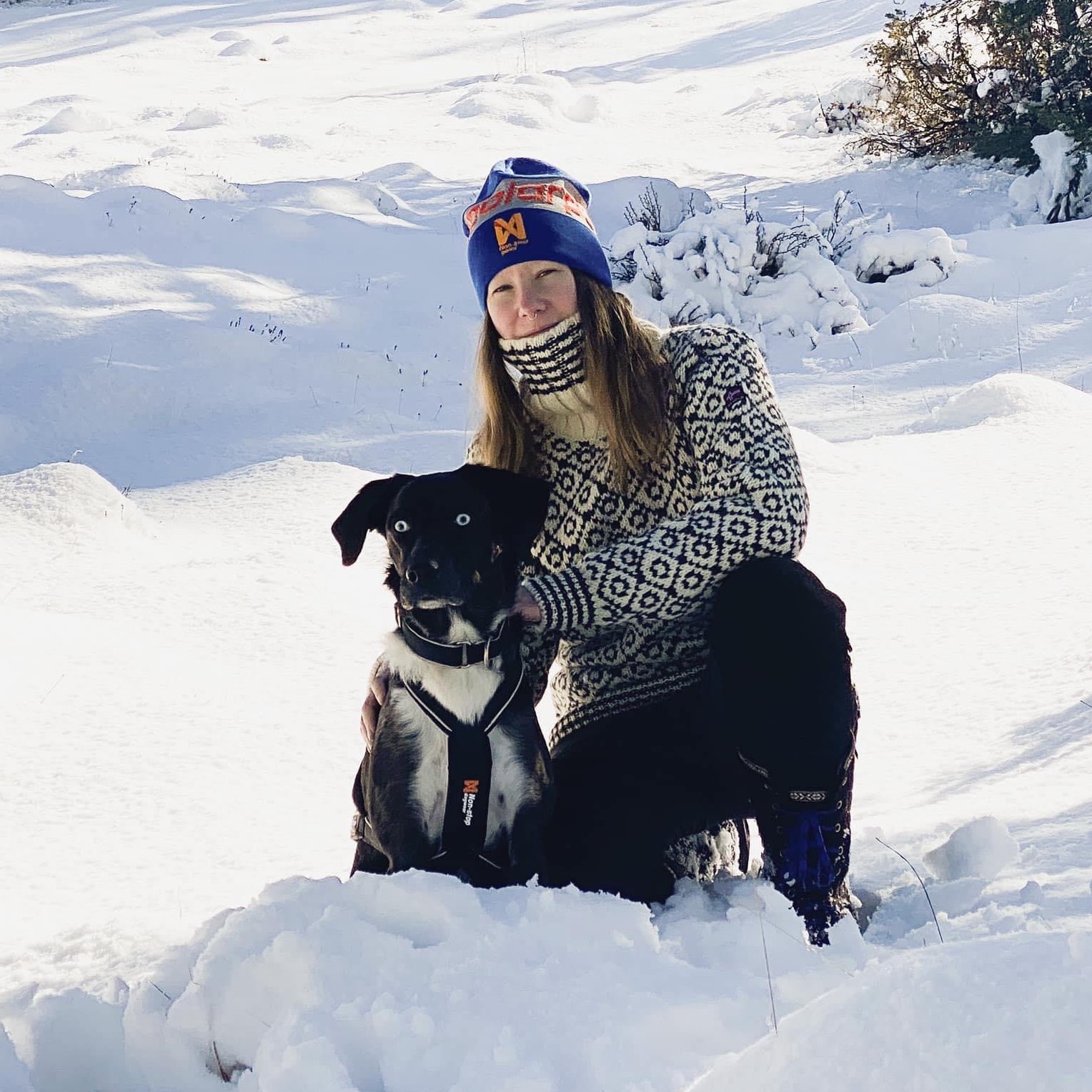  ABOUT FLUFFY BOREALIS thumbnail