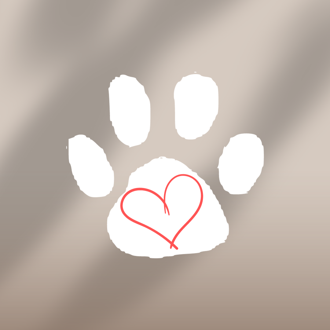 Sign Up To Help Rescue Animals thumbnail