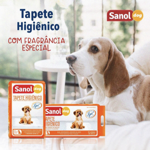 Tapete Higiênico  thumbnail