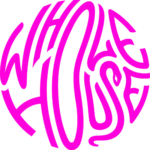 WORK WITH ME 1:1 | Visit the WHOLE HOUSE Website thumbnail