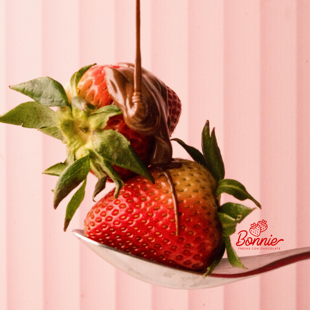 CATALOGO BONNIE 2025 thumbnail