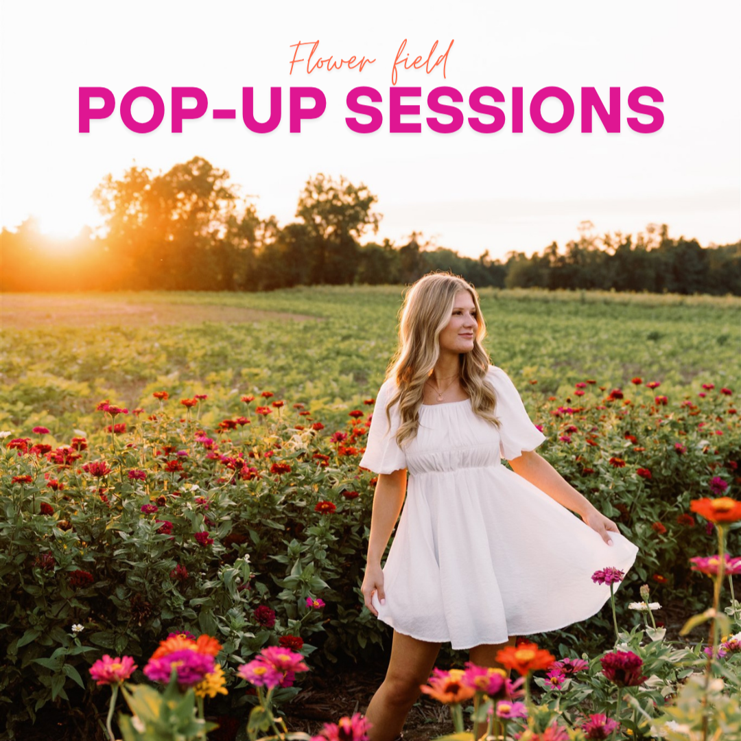 Book a Pop-Up Session thumbnail