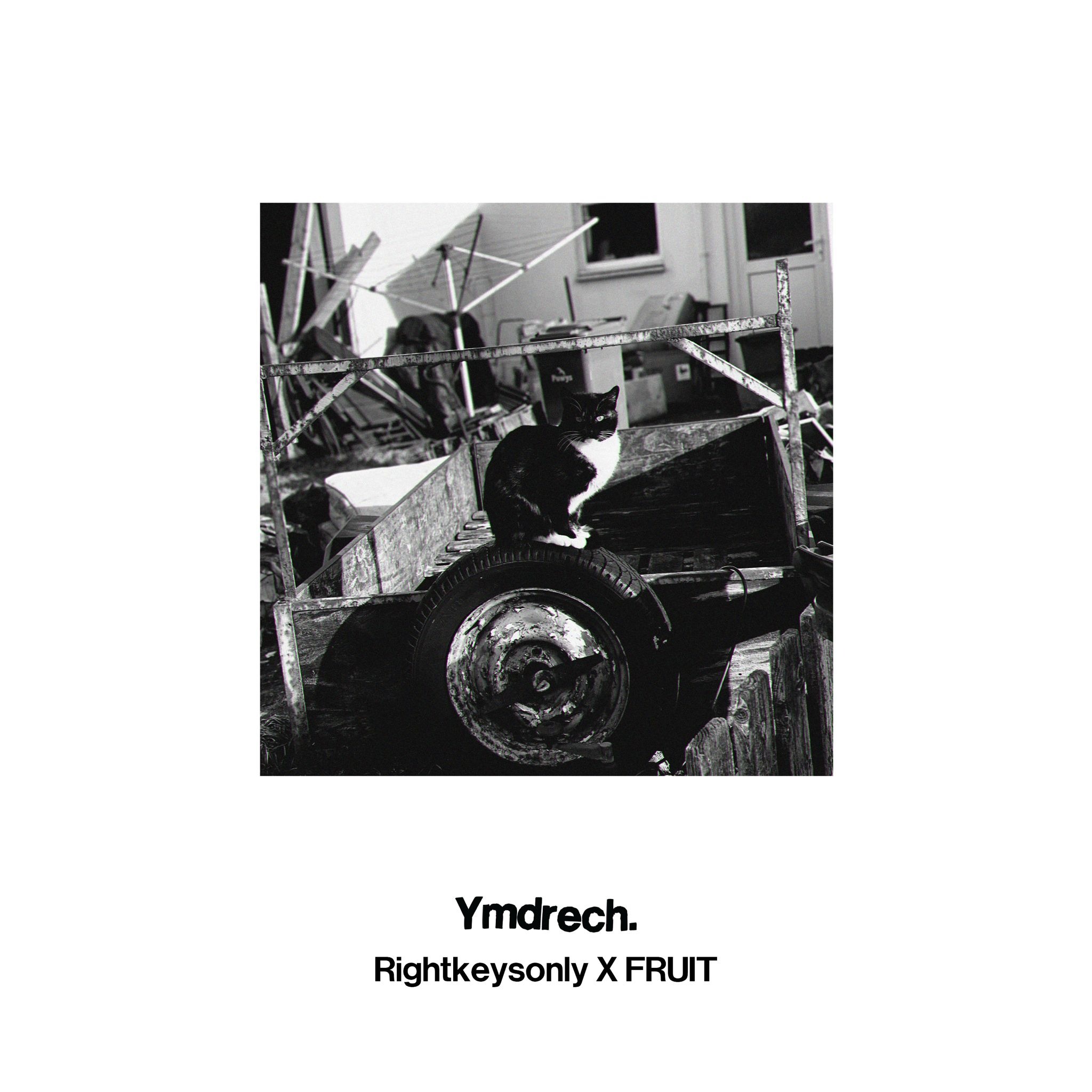 INOIS016 - Rightkeysonly x FRUIT - Ymdrech thumbnail