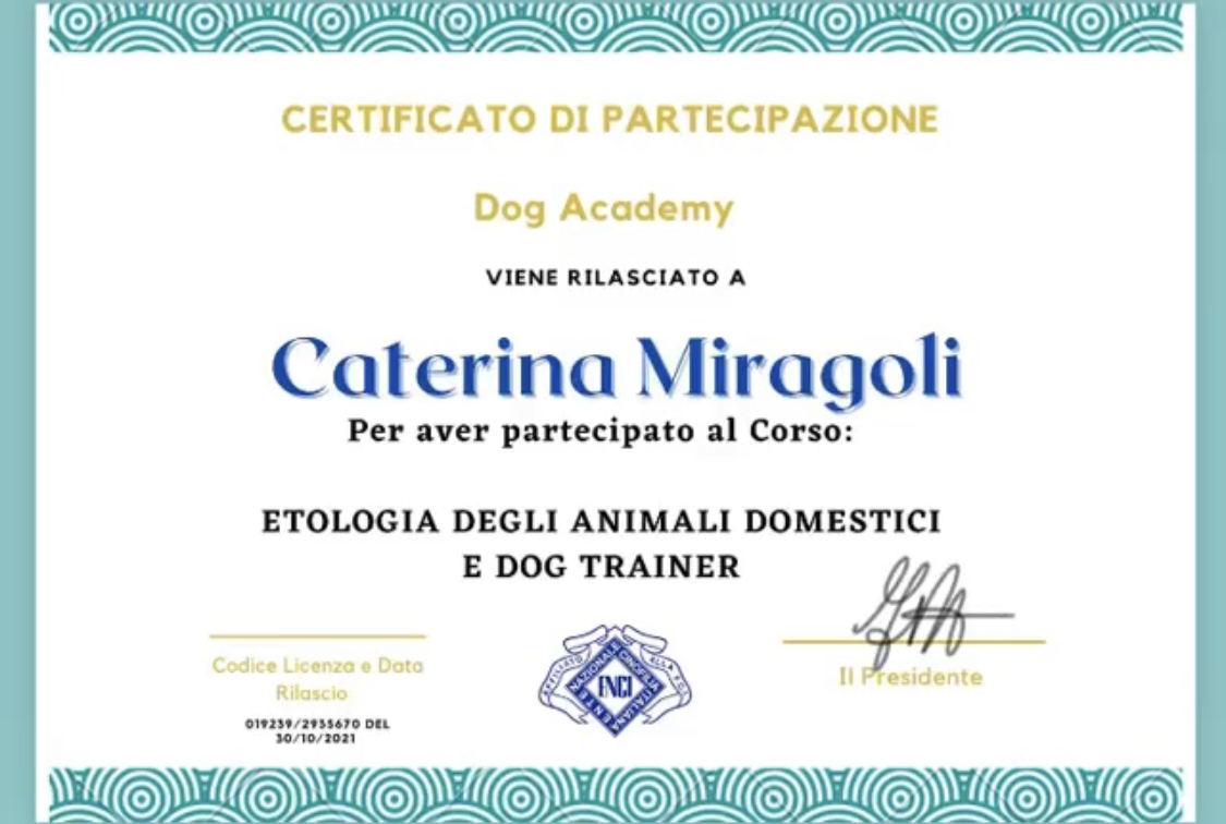 Certificazione in Etologia degli Animali Domestici e Dog Trainer   thumbnail