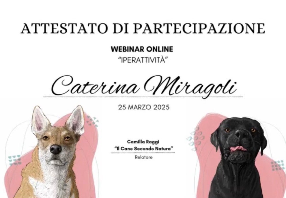 Iperattività  thumbnail