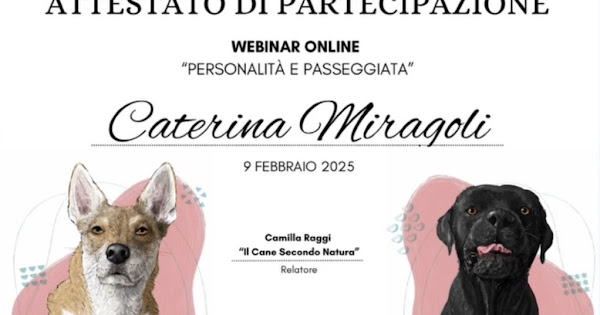 Personalità e Passeggiata thumbnail