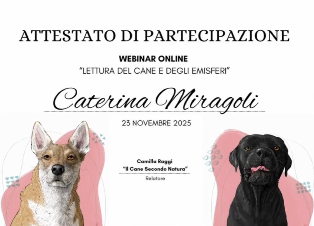 Lettura del Cane e Degli Emisferi  thumbnail