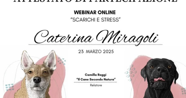 Scarichi e Stress  thumbnail