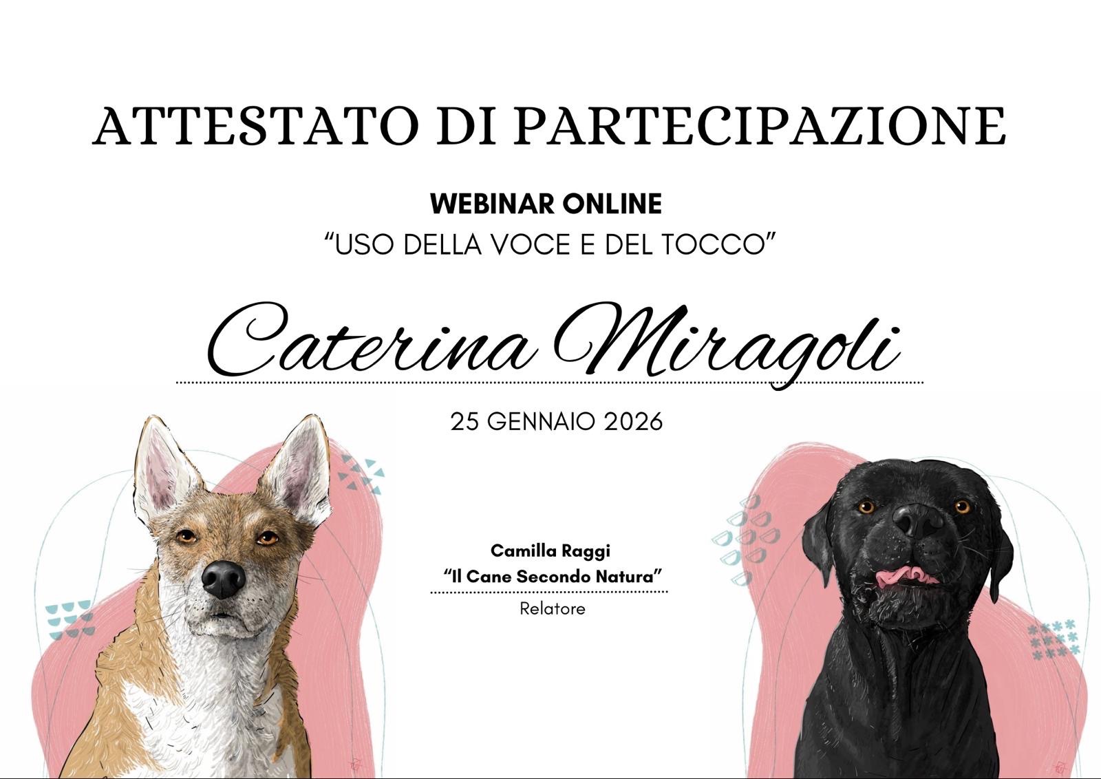 Uso della Voce e del Tocco  thumbnail