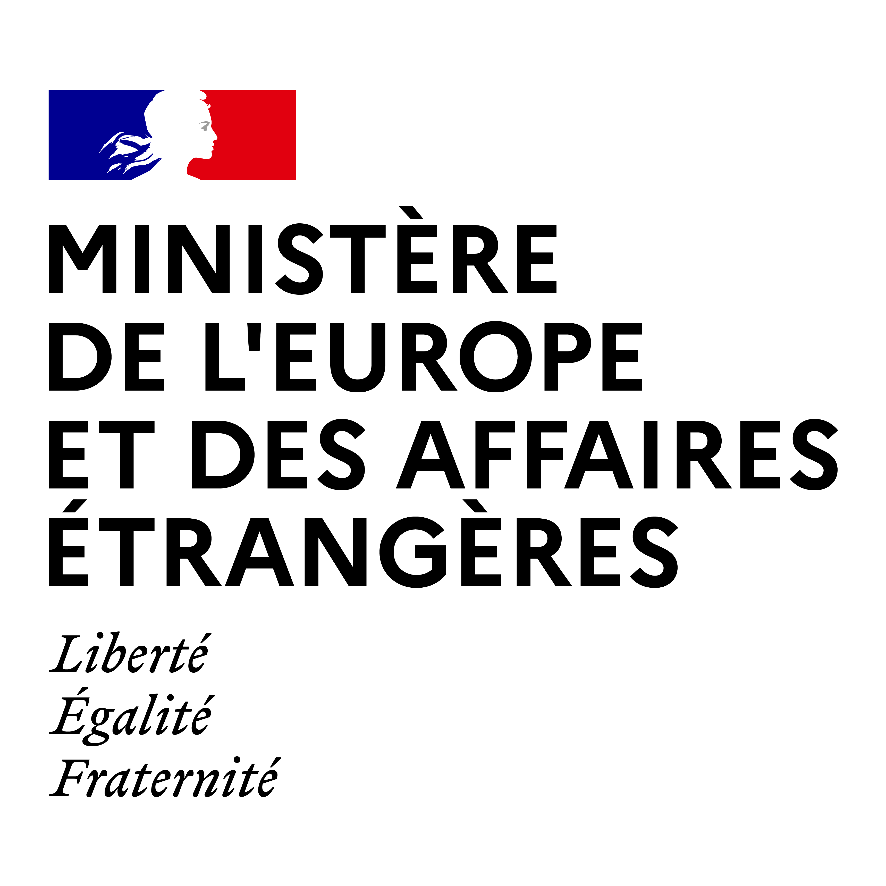 France Diplomacy, Ministry for Europe and Foreign Affairs thumbnail
