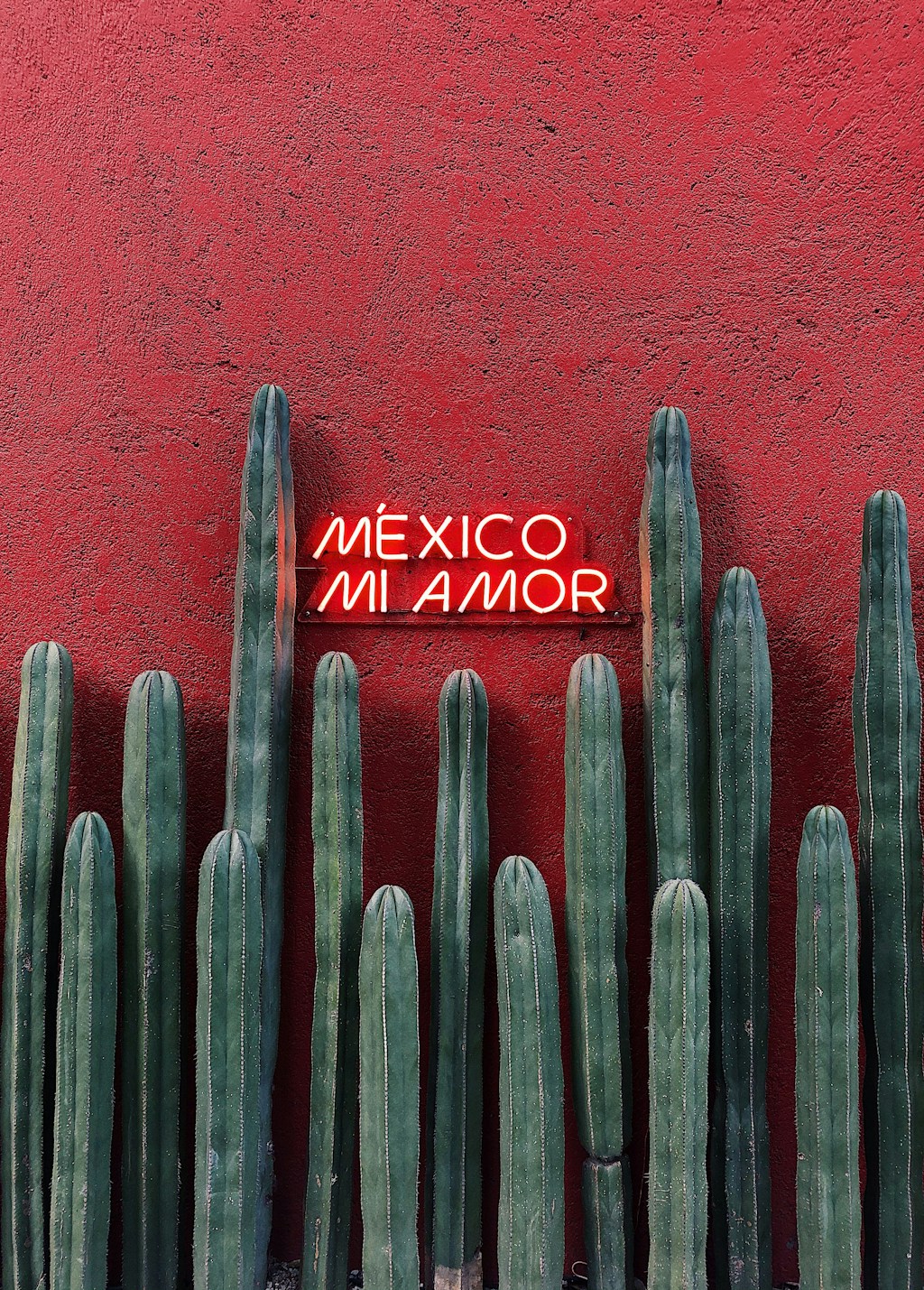 Travel with me to Mexico City - Feb. 5th-10th 2026 thumbnail
