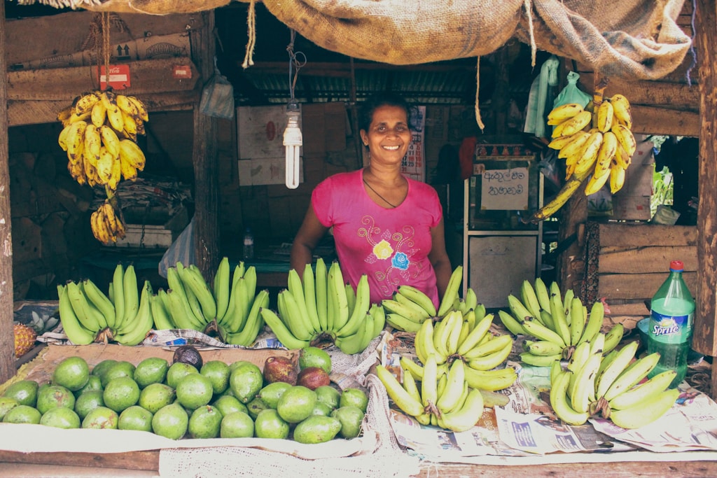 Travel with me to Sri Lanka Nov. 1st-10th 2026! thumbnail