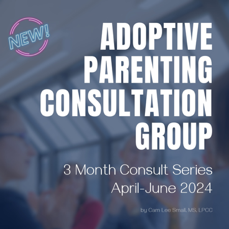Adoptive Parenting Consultation Group 12 Wks & Live Q&A thumbnail