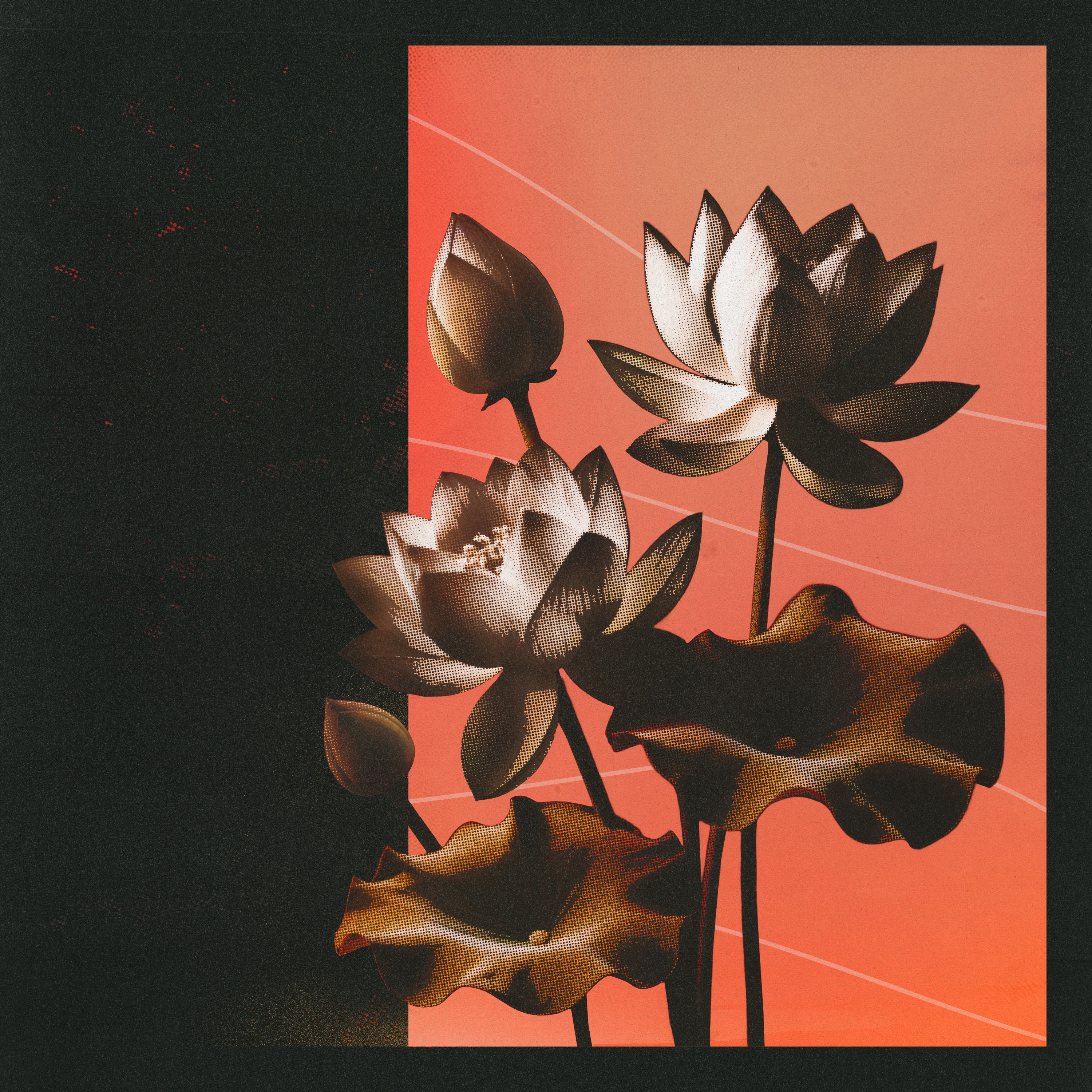 Lotus EP thumbnail