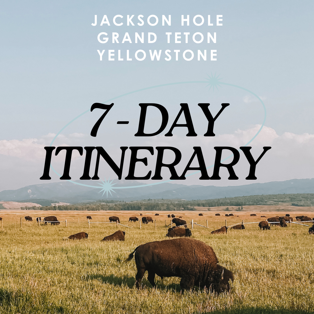 Get our Guide: Jackson Hole + The Tetons + Yellowstone thumbnail