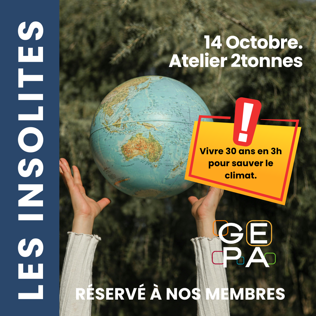 LES INSOLITES - 14/10 thumbnail