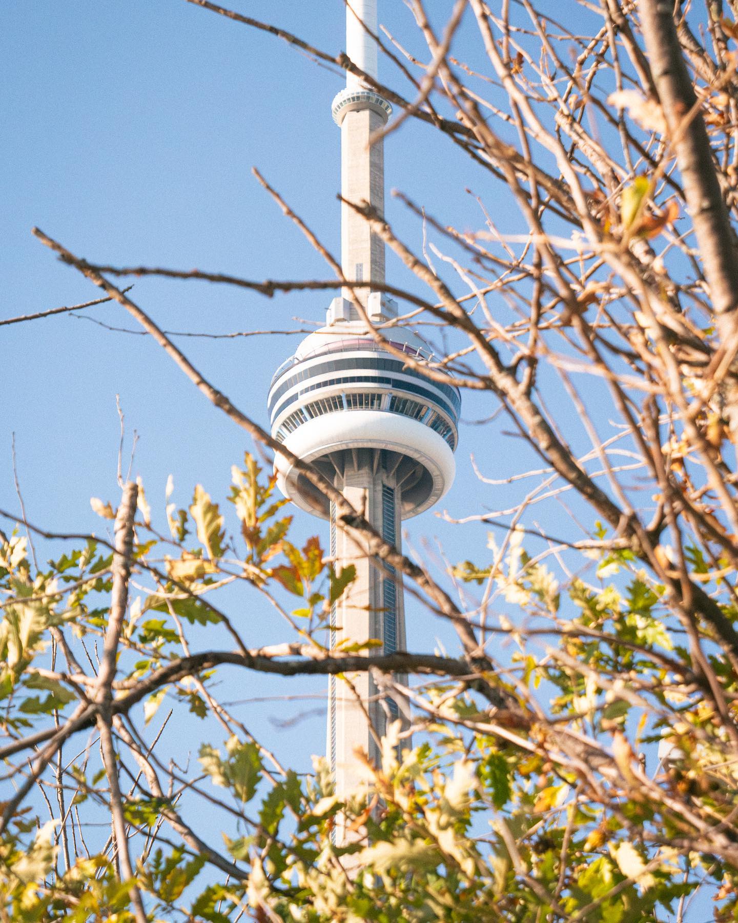 CN Tower in October 🍃

#canada #toronto #ontario #torontophotographer #torontophoto #torontophotography #cntower