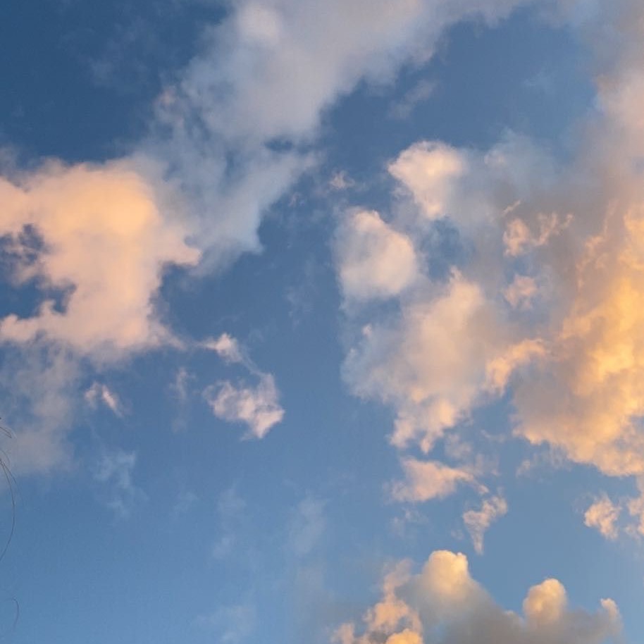 WATCH - Breast Crawl Video thumbnail