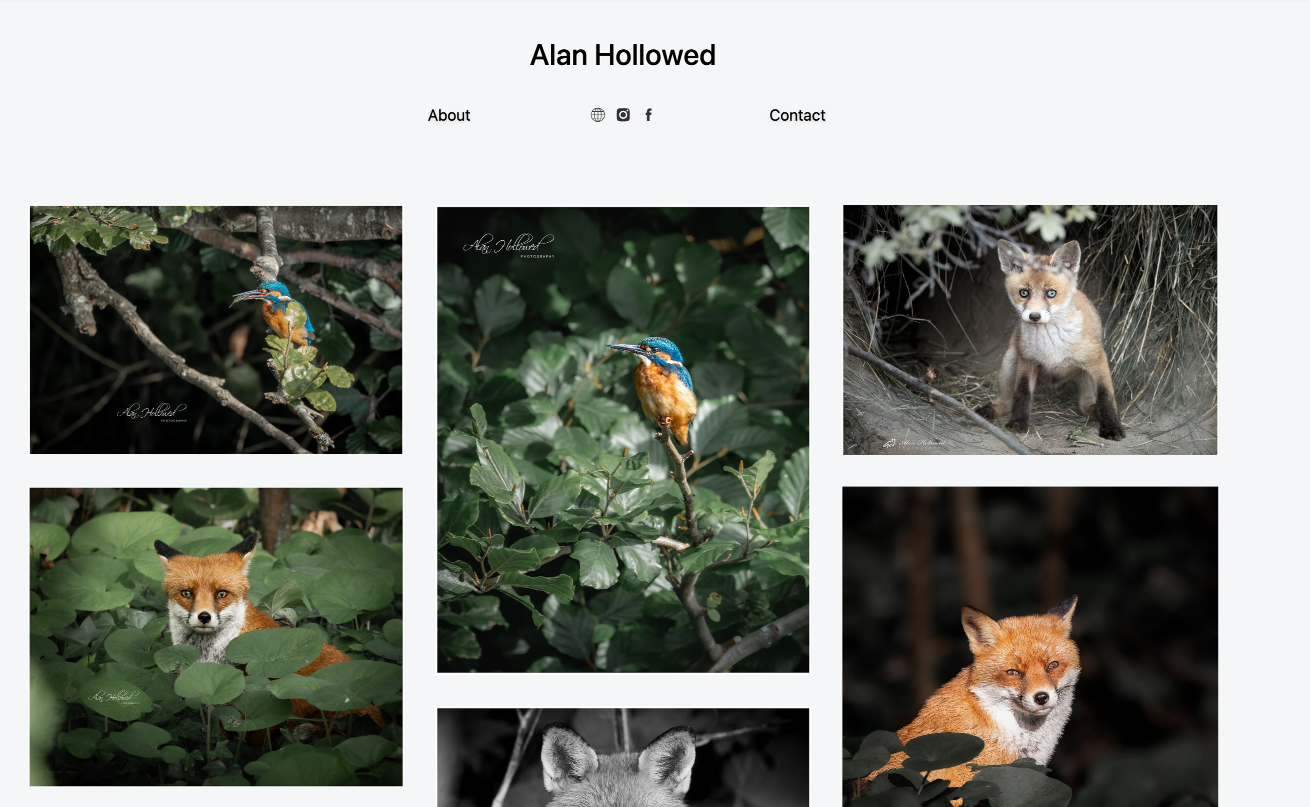 Print Store thumbnail