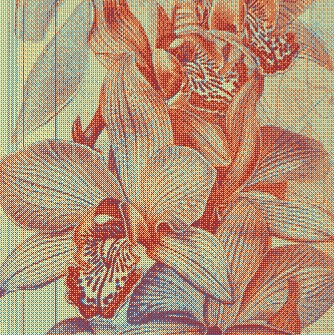 Intaglio Orchids On-Chain thumbnail