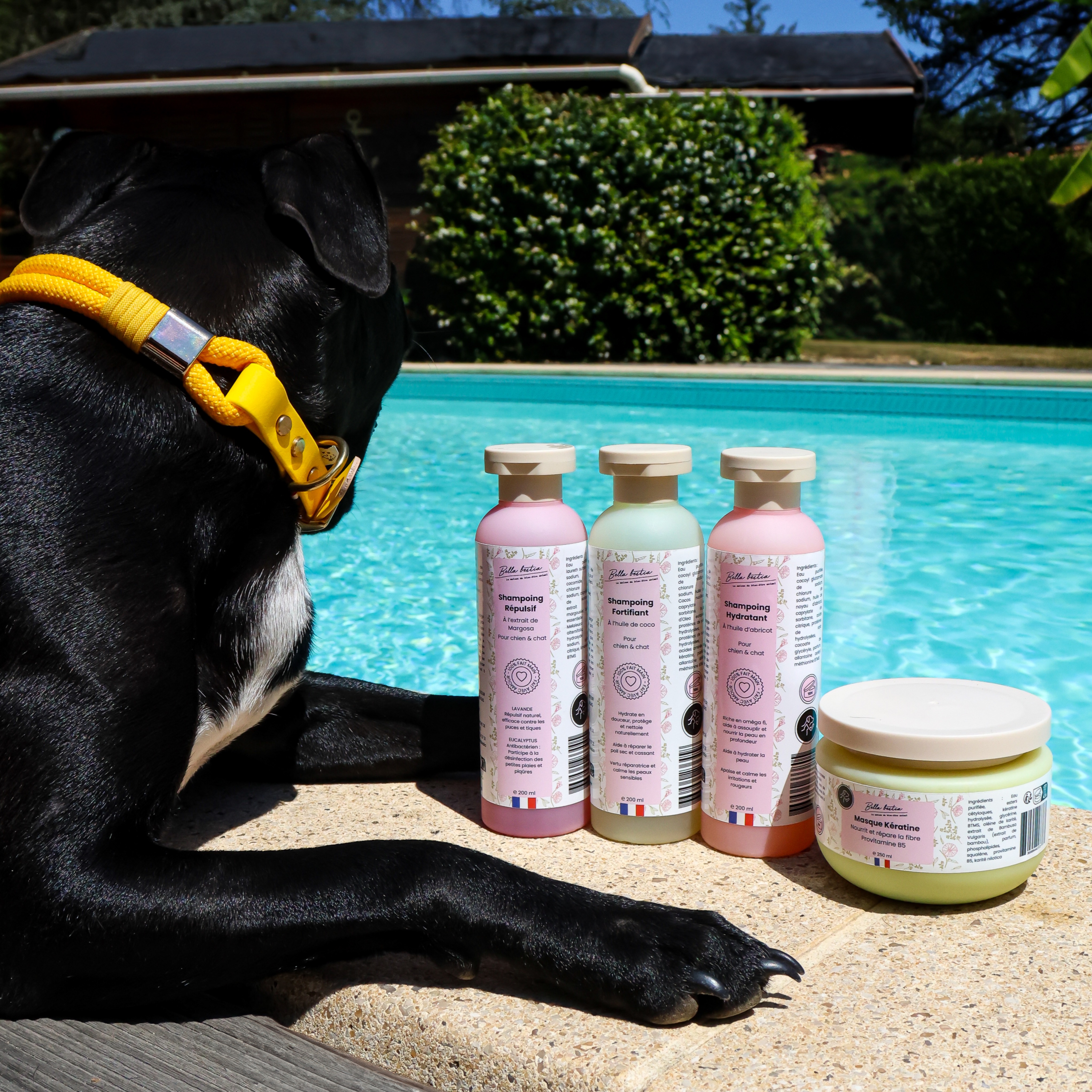 Bella Bestia : - 10% code -> VAINA10 thumbnail