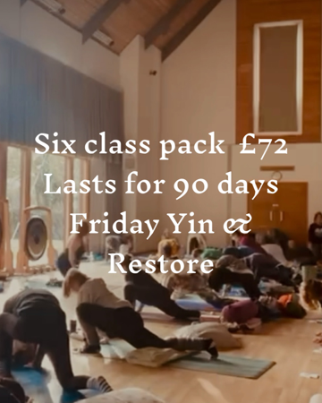 Friday/Monday Yin & Restore 6 classes / 90 days £12 a class  thumbnail