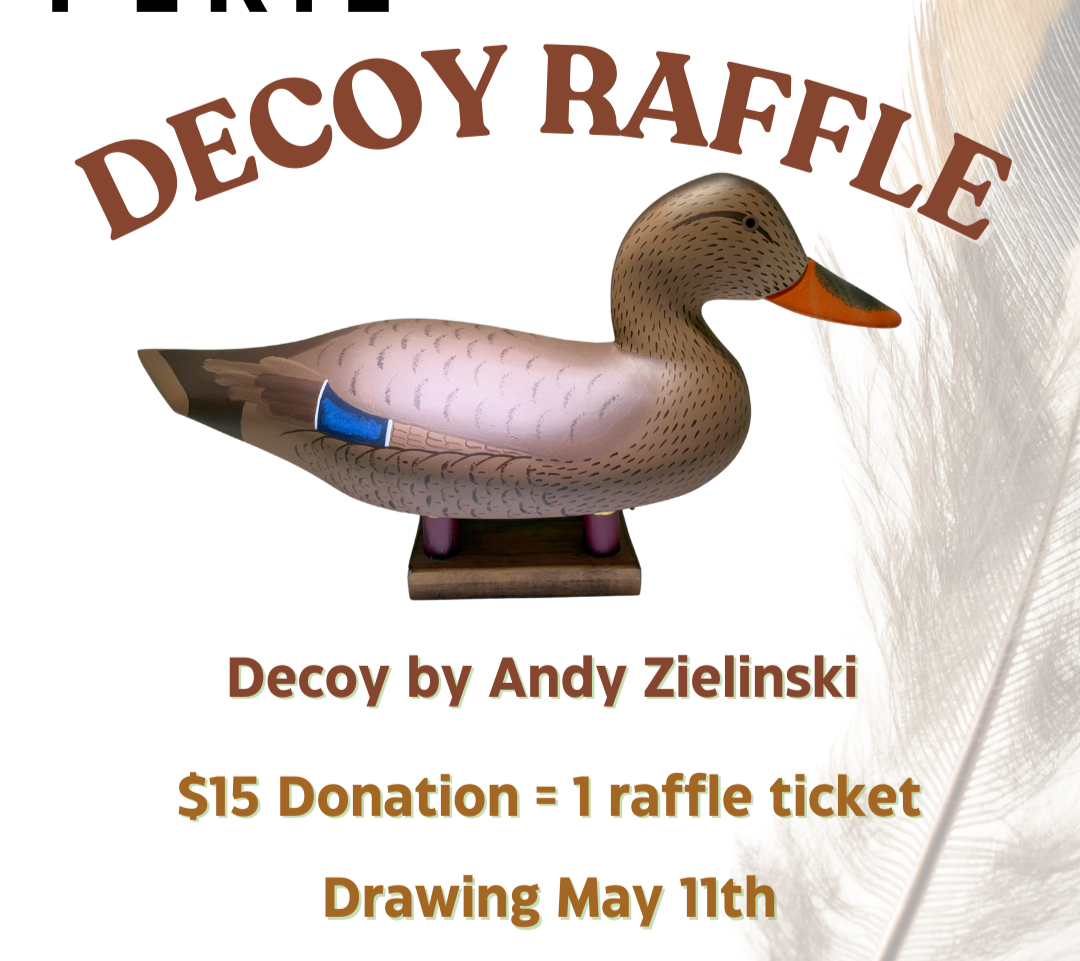 Birds in Peril Decoy Raffle thumbnail