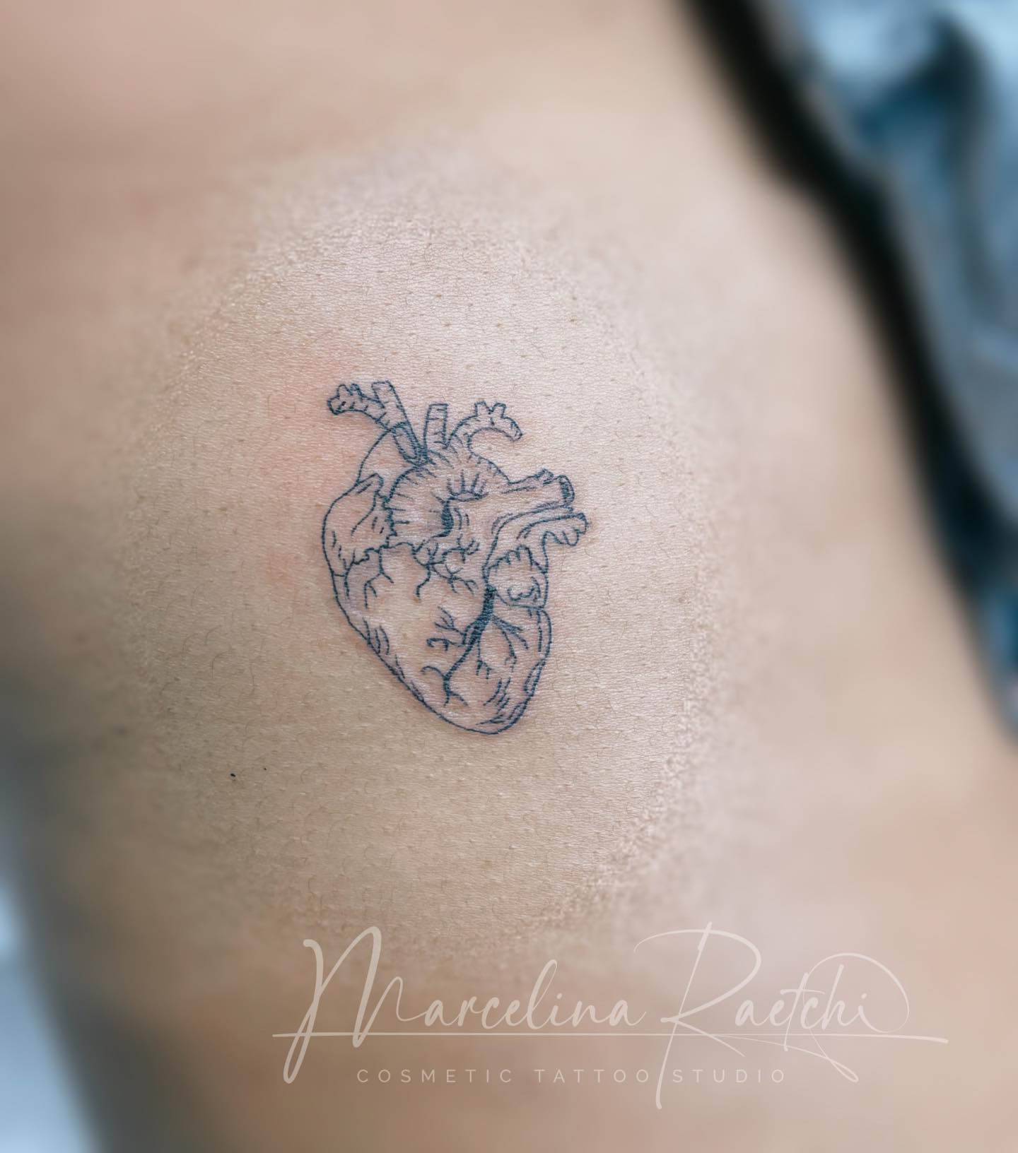 #tinytattoo #finelinetattoo #charlottenc #clt #cltbeauty #charlottebeautyblogger #cltbeautyblogger #charlottencfashion #