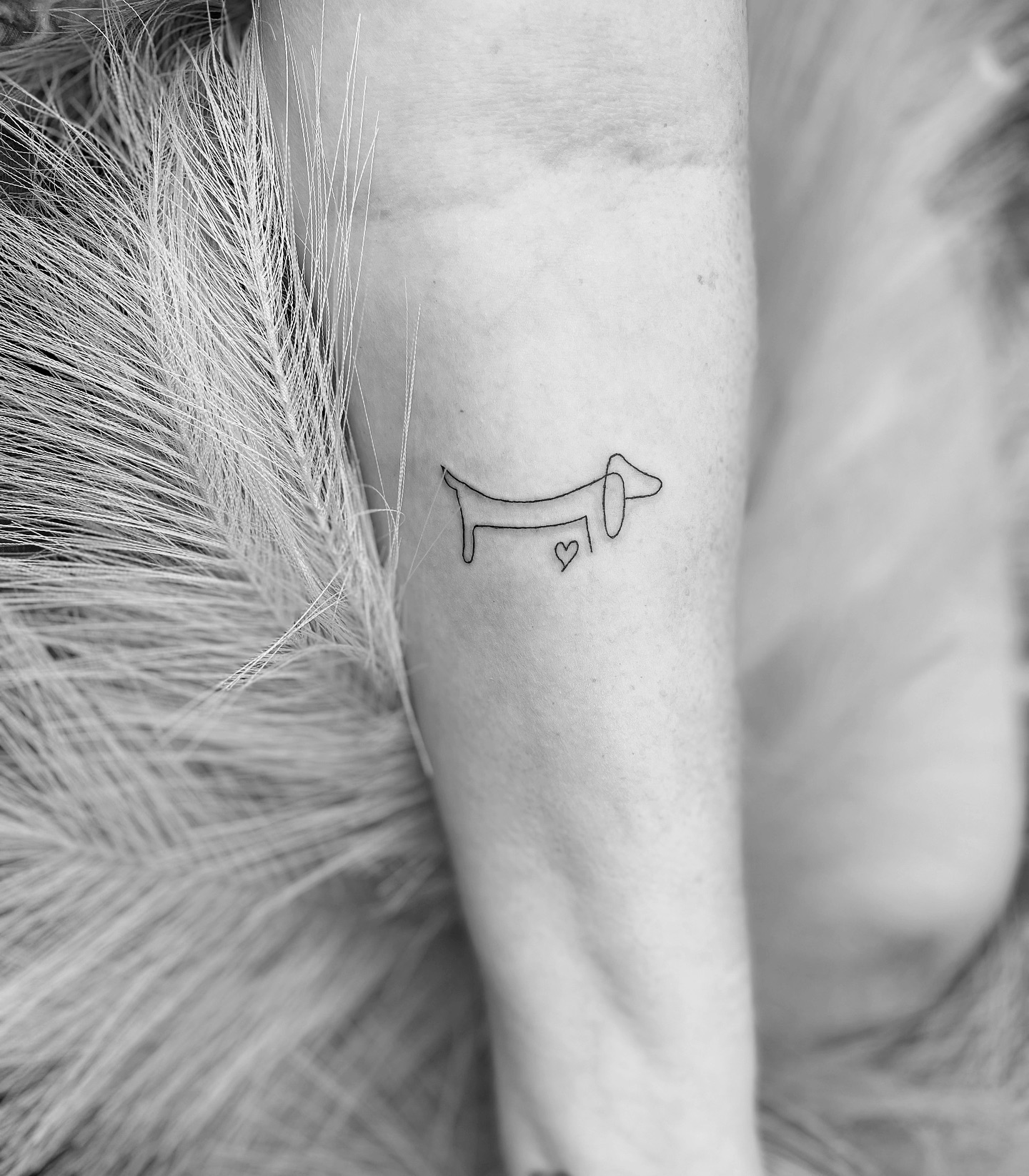 #tinytattoo #charlottenc #clttattoo #finelinetattoo #rockhillsc #ballantynenc #pinevillenc #tegacaysc #tattoolovers #clt