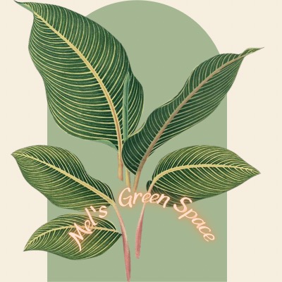 Gardening | Harvesting  thumbnail