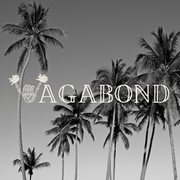 BioSite profile picture for @vagabond