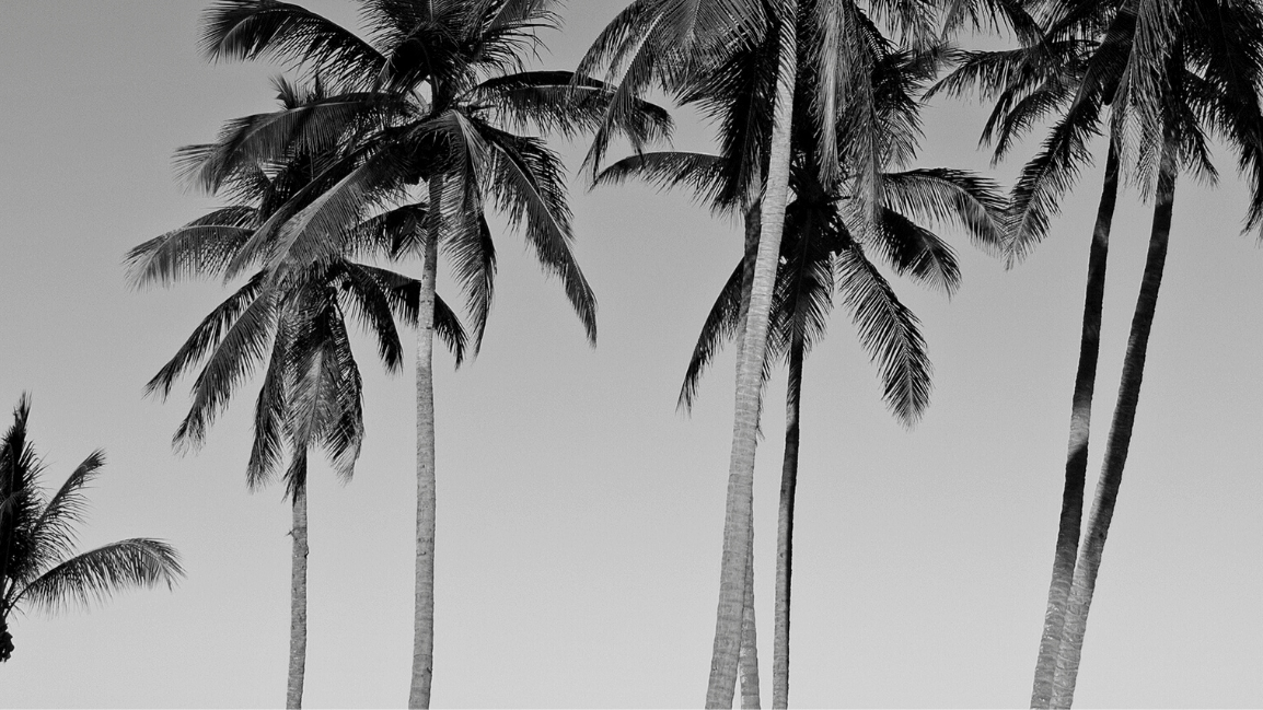 BioSite banner for @vagabond