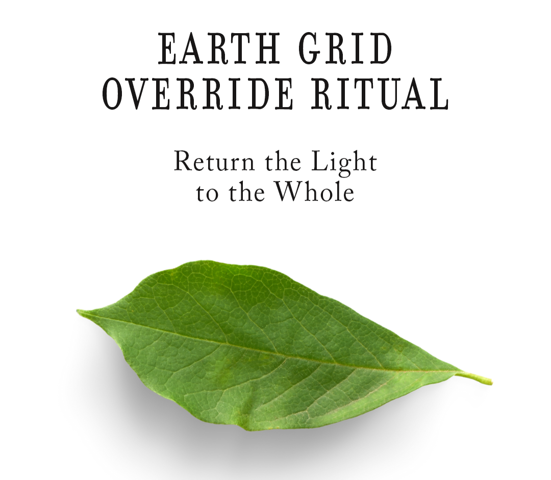 Earth Grid Override Ritual ➝ thumbnail