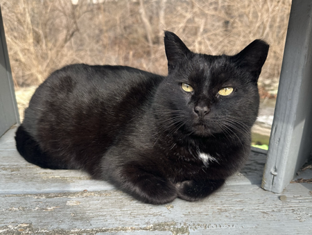 Colony Food Fund thumbnail